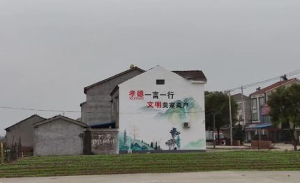 景谷新农村墙绘